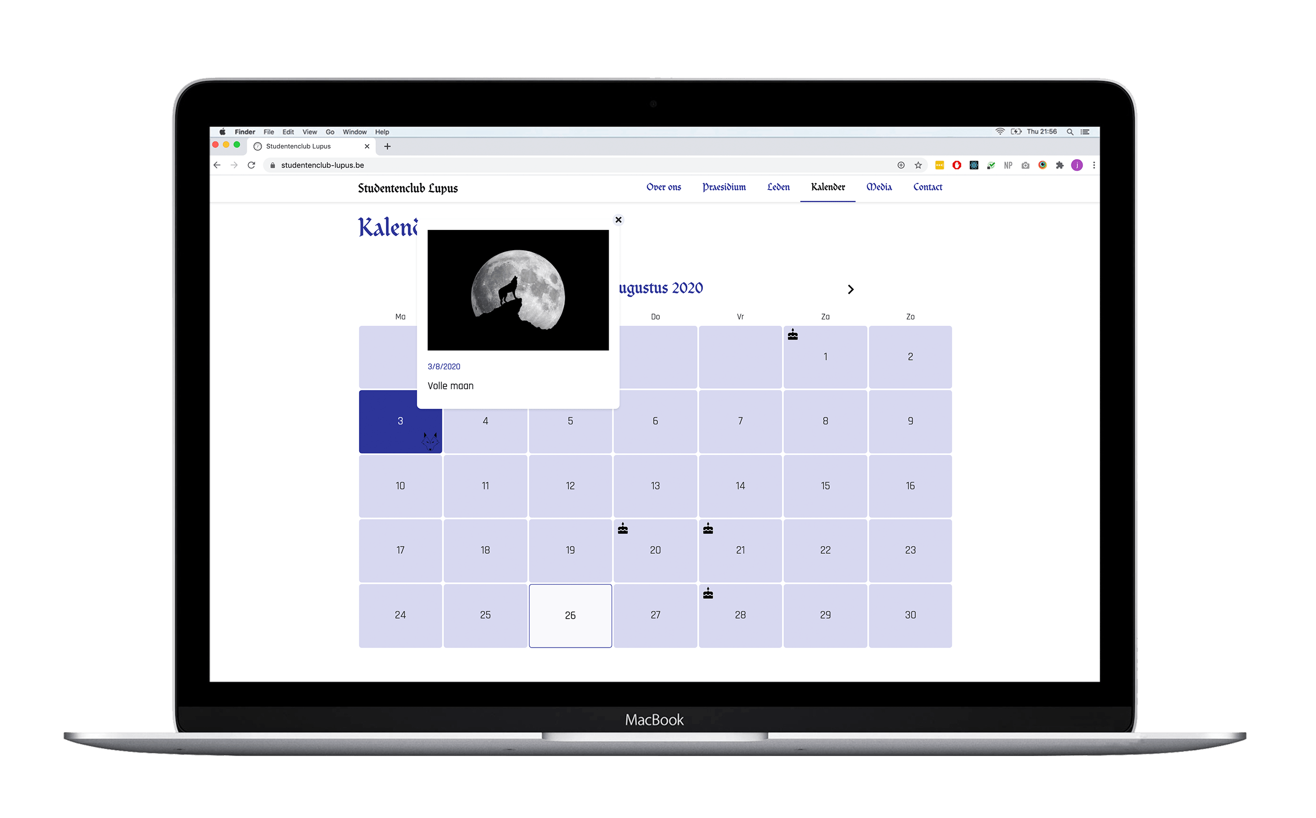 Lupus website image 6