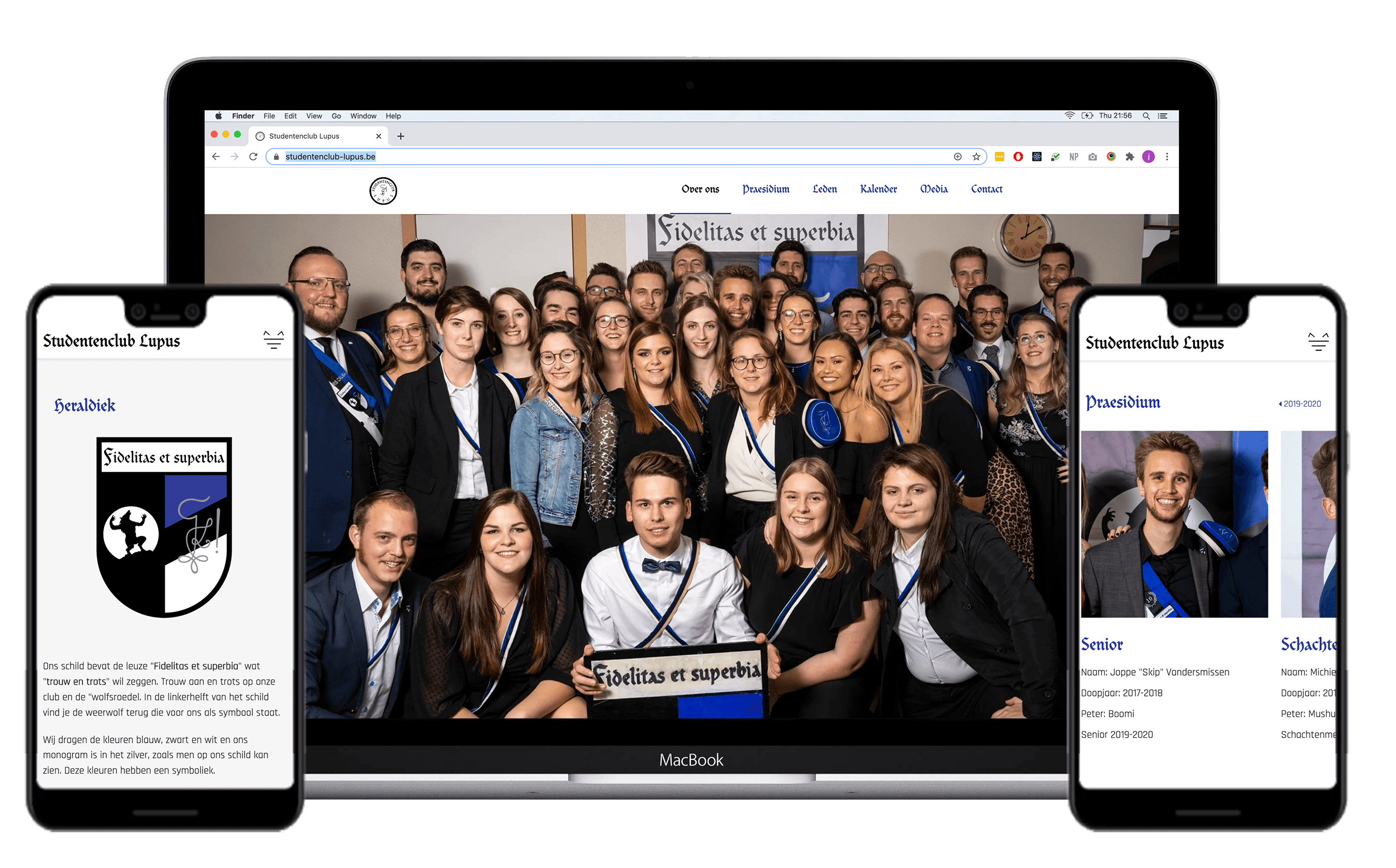 Lupus website image 1