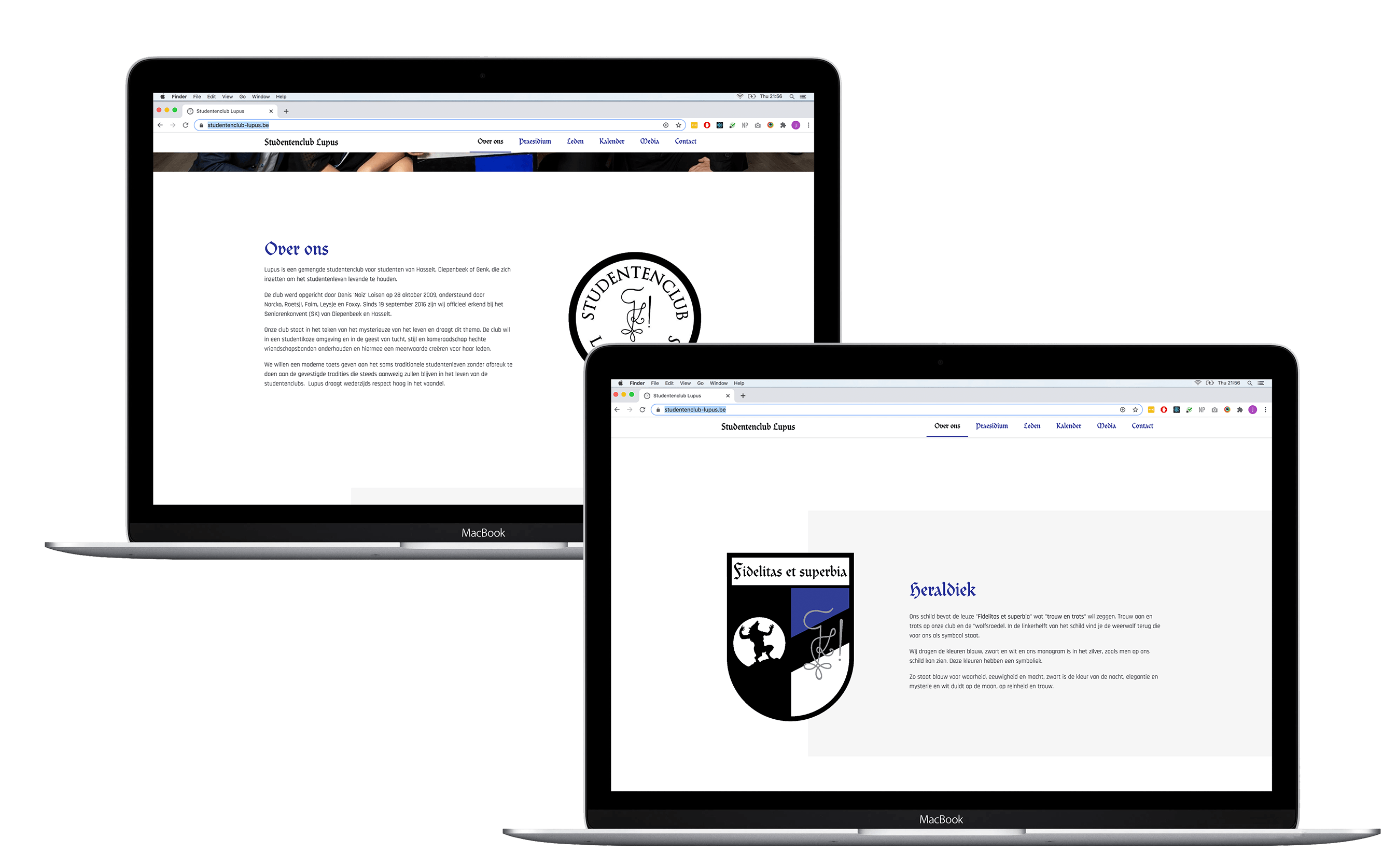 Lupus website image 2