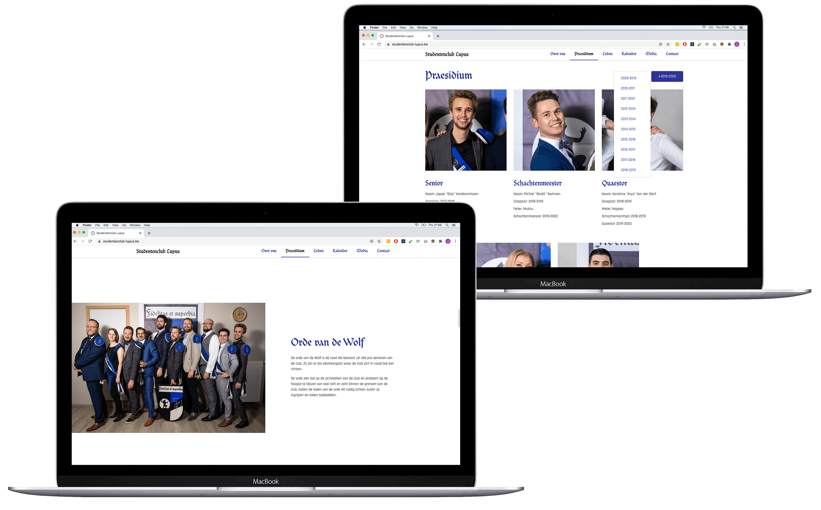 Lupus website image 3