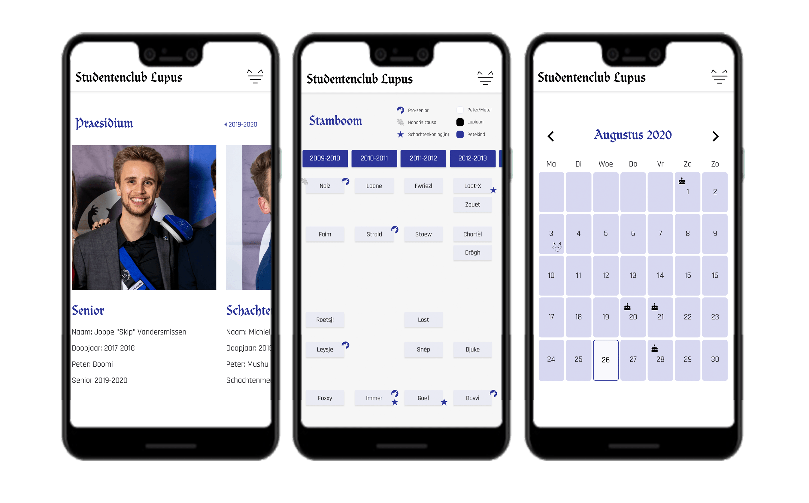 Lupus website image 4
